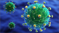 Vědci díky světlu našli cestu, jak lépe zkoumat vývoj viru HIV 