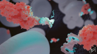 DNA nanotransportéry bojují proti nádorům