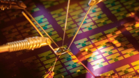 Detailní záběr na křemíkový plátek sestávající z řady senzorových čipů pro detekci olova © David Baillot / UC San Diego Jacobs School of Engineering