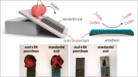 Nanostrukturovaný povrch zlepšuje ochranu proti kontaminaci potravin