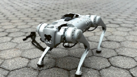 Generativní inteligence ChatGPT naučila robotického psa balancovat na gymnastickém míči